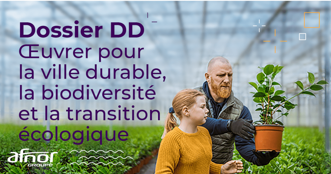 découvrez comment réussir une transition durable pour un avenir éco-responsable. explorez des solutions innovantes et des stratégies pratiques pour réduire votre empreinte carbone tout en améliorant la qualité de vie.