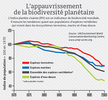 découvrez comment optimiser votre productivité énergétique grâce à des stratégies innovantes et des technologies durables. maximisez votre efficacité tout en réduisant votre empreinte carbone.