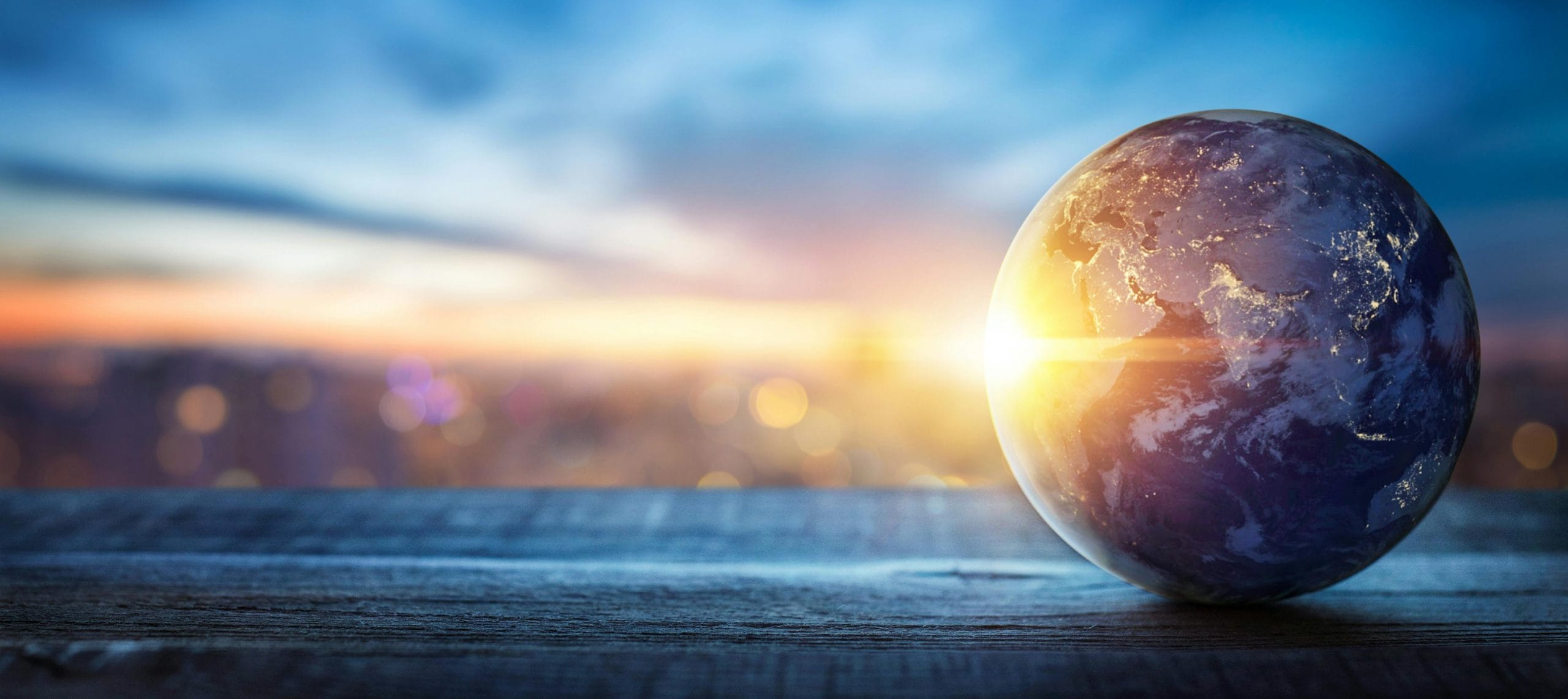 découvrez l'univers de l'écologie, une science essentielle pour comprendre les interactions entre les êtres vivants et leur environnement. apprenez comment préserver notre planète tout en adoptant des pratiques durables pour un avenir meilleur.