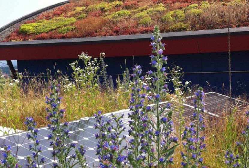découvrez comment le biosolaire révolutionne notre avenir en alliant durabilité, innovation et respect de l'environnement. plongez dans les solutions écologiques qui préparent notre planète pour les générations futures.
