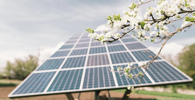 découvrez comment choisir le bon partenaire pour l'installation de panneaux photovoltaïques et maximisez votre investissement énergétique. bénéficiez d'expertise, de conseils personnalisés et d'une installation professionnelle pour une énergie solaire durable.