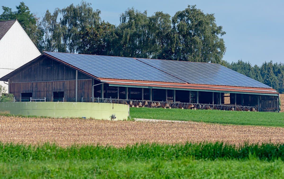 découvrez comment bénéficier d'un bâtiment photovoltaïque gratuit grâce à des subventions et des aides gouvernementales. optimisez votre consommation d'énergie tout en contribuant à la transition énergétique.