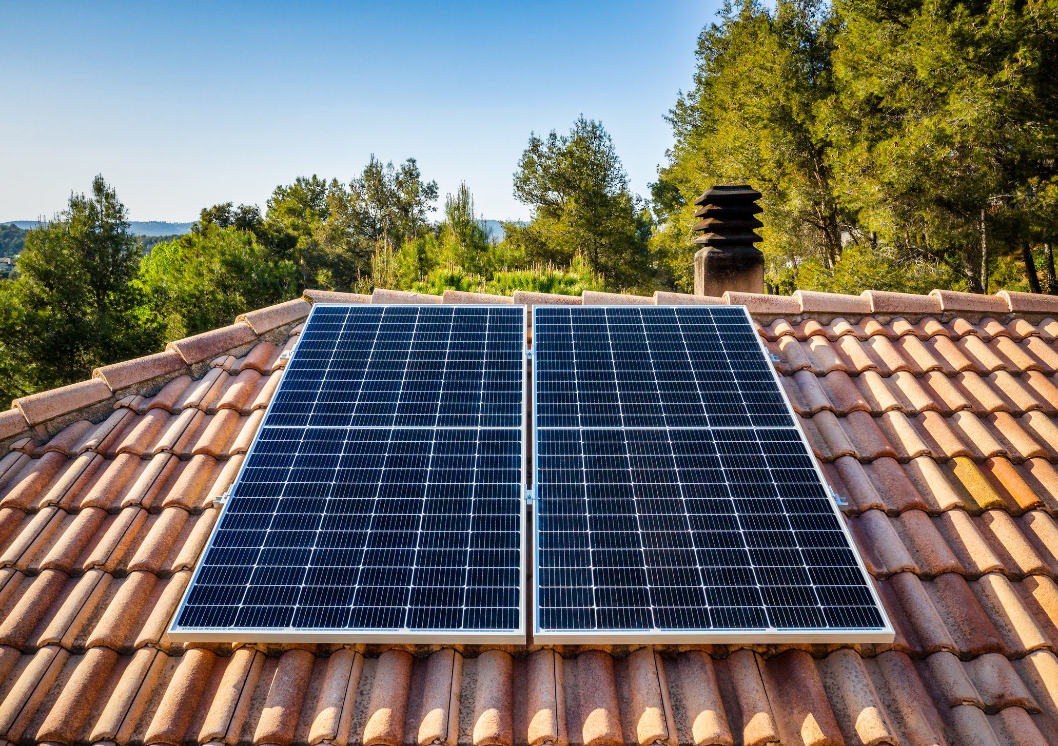 découvrez comment choisir le nom parfait pour votre projet sur la terre solaire. une sélection d'idées et de conseils pour refléter votre vision et attirer l'attention sur votre initiative écologique.