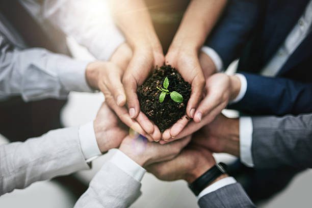 découvrez comment les entreprises intègrent la responsabilité environnementale dans leurs stratégies, contribuant ainsi à la durabilité et à la préservation de notre planète. explorez les pratiques écoresponsables qui façonnent un avenir plus vert et durable.