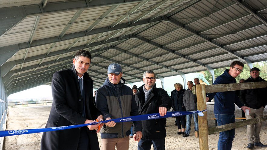 découvrez notre manège équestre solaire, une installation innovante qui allie passion pour les chevaux et respect de l'environnement. profitez d'un espace d'entraînement lumineux, alimenté par une énergie renouvelable, pour offrir à vos équidés un cadre idéal tout en réduisant votre empreinte carbone.
