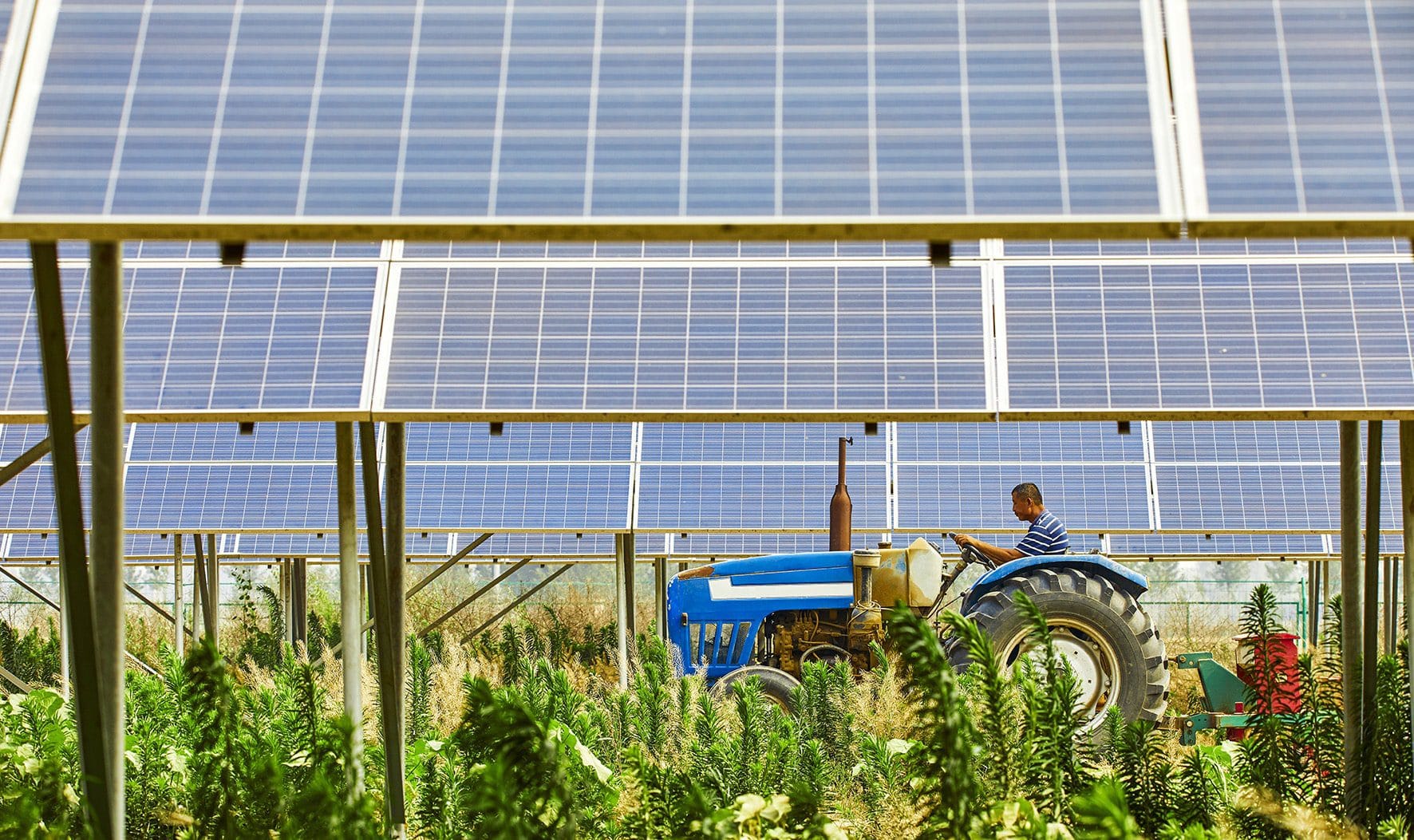 découvrez l'agriculture solaire, une approche innovante alliant production agricole et énergie renouvelable. explorez comment cette méthode durable optimise les rendements tout en préservant l'environnement, et participez à la transition vers une agriculture plus verte et responsable.