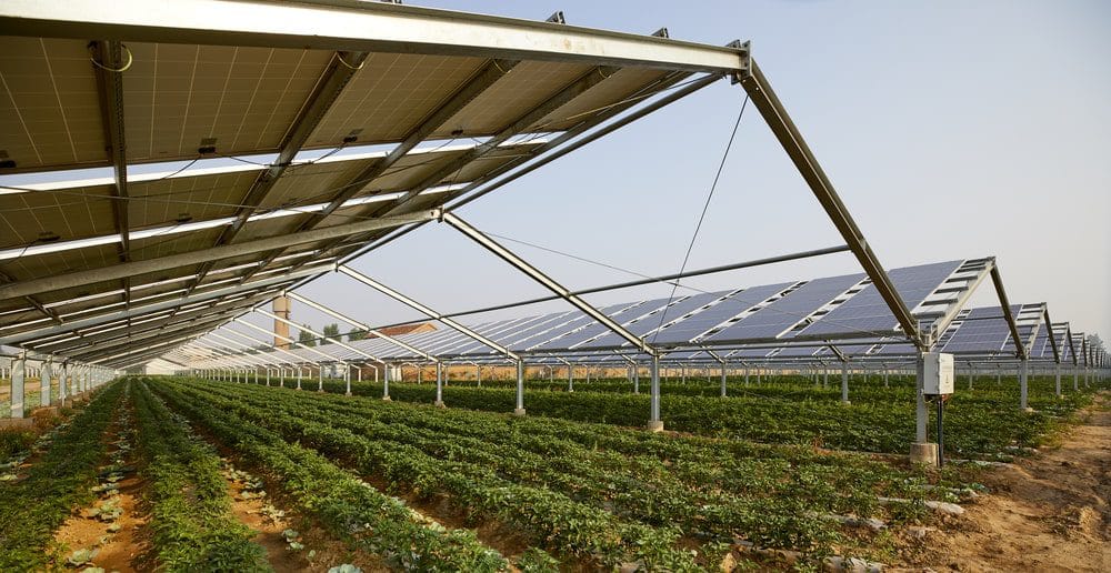 découvrez comment l'agriculture solaire transforme l'agriculture traditionnelle en intégrant des technologies solaires innovantes. optimisez vos rendements tout en respectant l'environnement grâce à des solutions durables et efficaces qui allient production agricole et énergie renouvelable.
