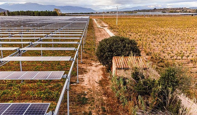 découvrez l'agriculture solaire, une solution innovante qui combine production agricole et énergie renouvelable. apprenez comment cette synergie contribue à une agriculture durable, réduit l'empreinte carbone et optimise les rendements tout en préservant l'environnement.