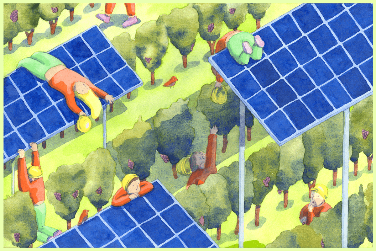 découvrez l'agriculture solaire, une approche innovante combinant production agricole et énergie solaire. optimisez vos rendements tout en préservant l'environnement grâce à des solutions durables et efficaces.
