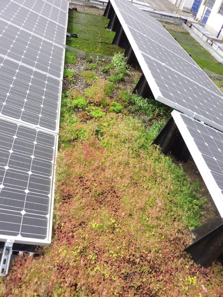 découvrez comment un bâtiment photovoltaïque durable optimise l'énergie solaire, réduit l'empreinte carbone et crée un environnement respectueux de la planète. transformez votre espace en un modèle d'efficacité énergétique et de durabilité.