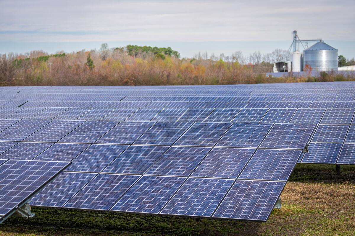 obtenez votre devis pour des panneaux solaires gratuitement ! comparez les offres des meilleurs installateurs et commencez votre transition énergétique en toute simplicité.