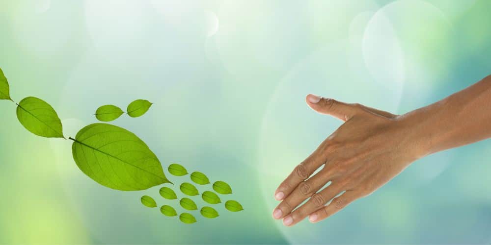 découvrez des solutions simples et accessibles pour adopter un mode de vie éco-responsable. transformez vos habitudes quotidiennes en gestes qui préservent notre planète tout en alliant praticité et durabilité.