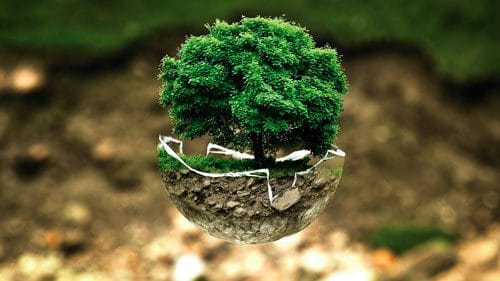 découvrez l'univers de l'écologie, son importance pour la préservation de notre planète, et les gestes simples à adopter pour un avenir durable. plongez dans les enjeux environnementaux et les solutions innovantes pour un monde plus vert.
