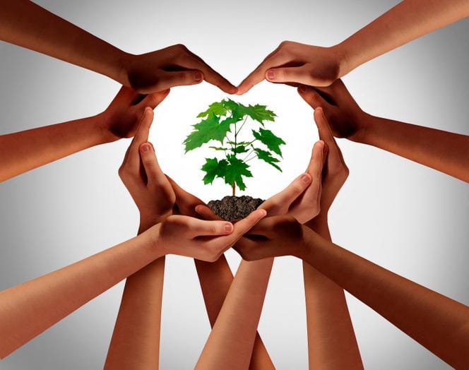 découvrez des informations essentielles sur l'écologie, la protection de l'environnement, et les initiatives durables. apprenez comment chacun peut contribuer à un avenir plus vert et préserver notre planète pour les générations futures.