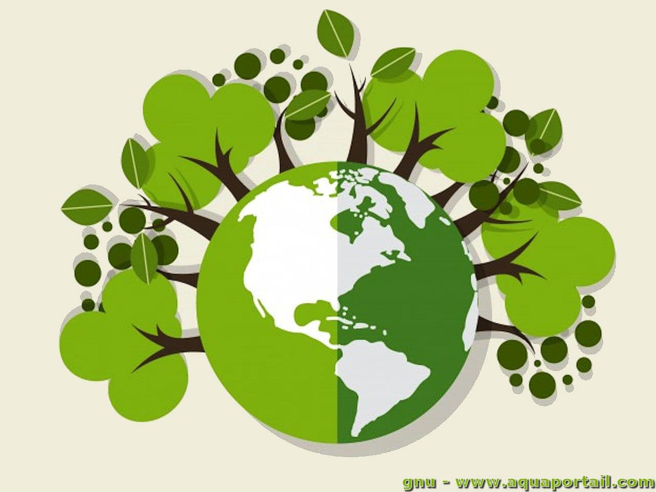découvrez les enjeux de l'écologie, les actions pour préserver notre planète et comment chacun peut contribuer à un avenir durable. explorez les solutions écologiques et inspirez-vous pour adopter un mode de vie respectueux de l'environnement.