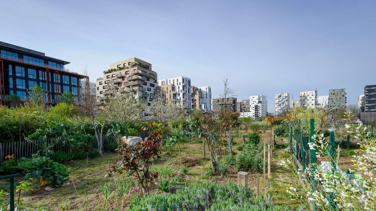 découvrez comment maximiser l'efficacité urbaine grâce à des stratégies innovantes et des solutions durables qui révolutionnent la façon dont nos villes fonctionnent, améliorant la qualité de vie des citoyens tout en préservant notre environnement.