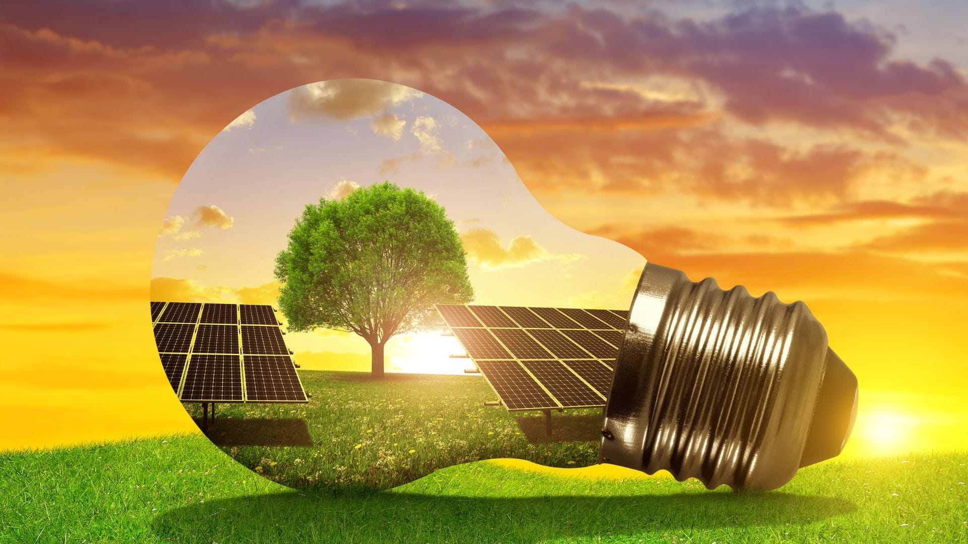 découvrez les avantages de l'énergie solaire : une source d'énergie renouvelable, économique et respectueuse de l'environnement. apprenez comment exploiter le soleil pour réduire vos factures d'électricité et contribuer à la protection de la planète.