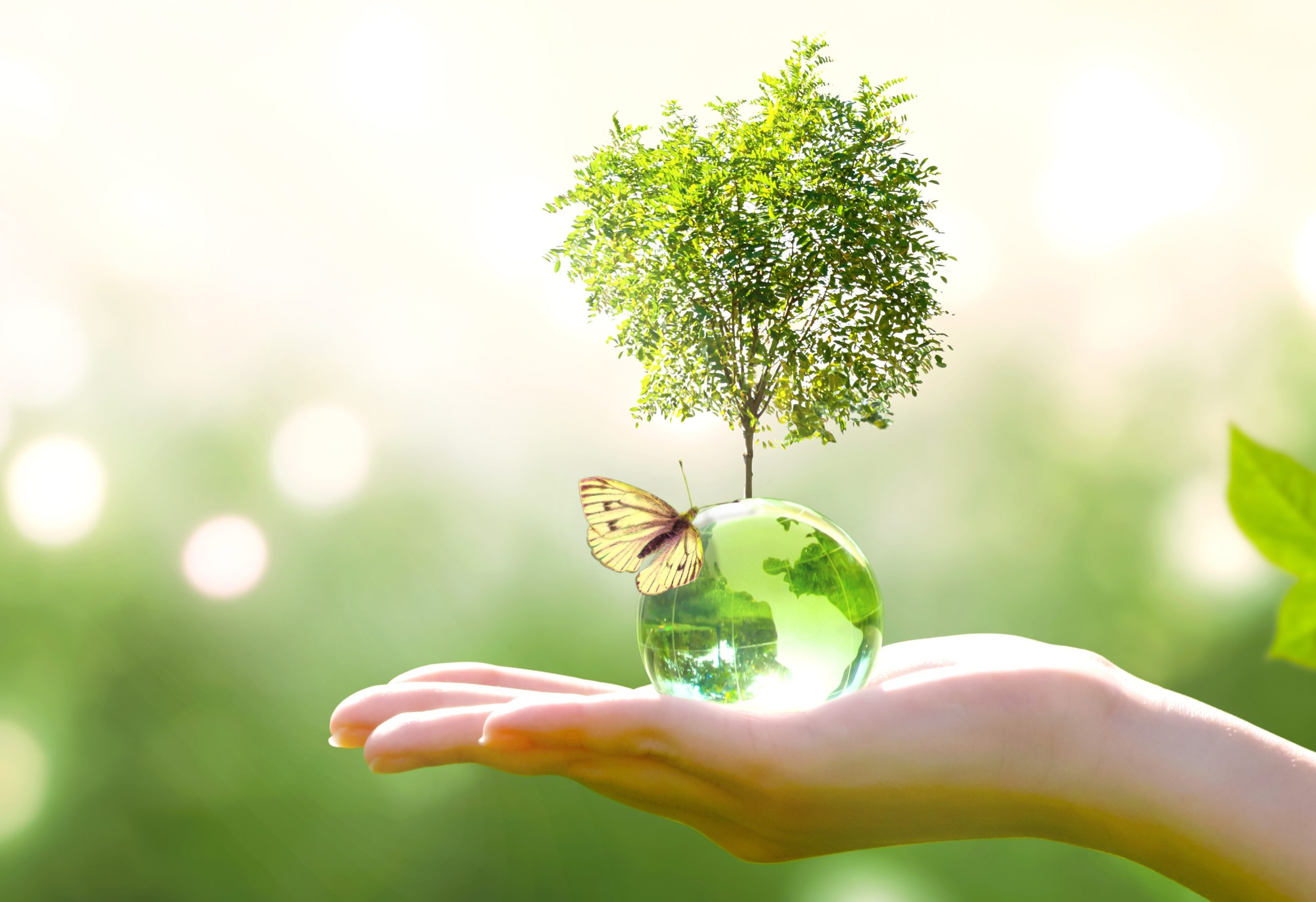 découvrez énergieimpact, votre expert en solutions énergétiques durables. optimisez votre consommation d'énergie et réduisez votre empreinte carbone grâce à nos conseils personnalisés et nos innovations technologiques.