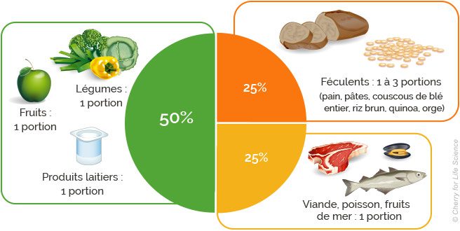 découvrez notre étude approfondie sur les besoins énergétiques, qui analyse les différentes sources d'énergie, leurs impacts et les solutions durables pour répondre aux défis énergétiques actuels.