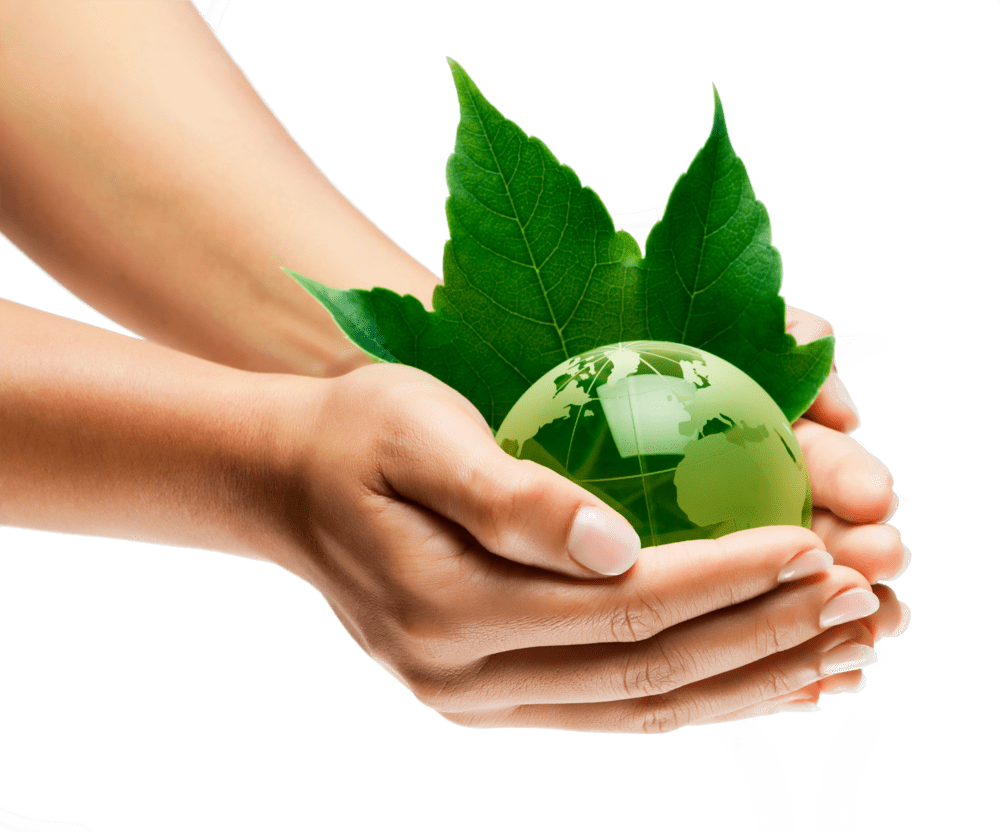 découvrez comment greenearth transforme nos habitudes de consommation pour un avenir durable. explorez des solutions écologiques et des conseils pratiques pour réduire votre empreinte carbone tout en adoptant un mode de vie plus vert.