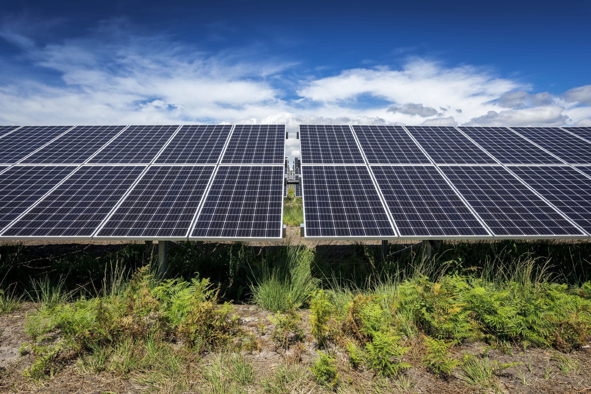 découvrez notre guide d'investissement solaire, un outil essentiel pour comprendre les avantages du solaire, les options de financement, et comment maximiser vos retours sur investissement tout en contribuant à la transition énergétique.