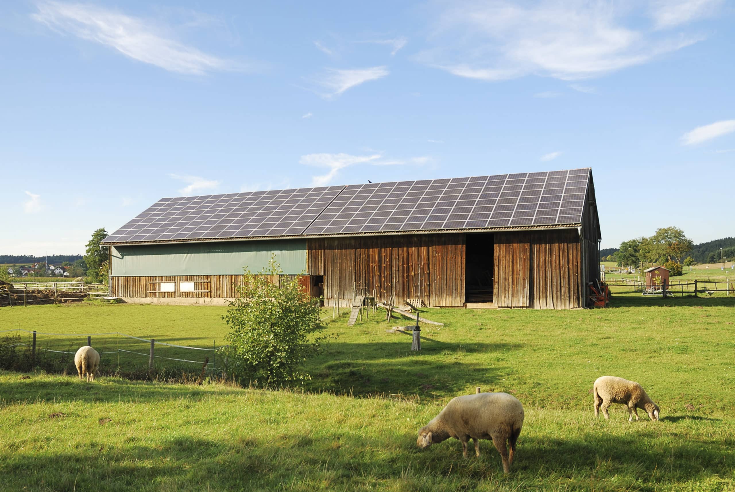 découvrez comment obtenir un hangar photovoltaïque gratuit pour optimiser votre production d'énergie solaire. profitez d'une solution durable et économique tout en contribuant à la protection de l'environnement.