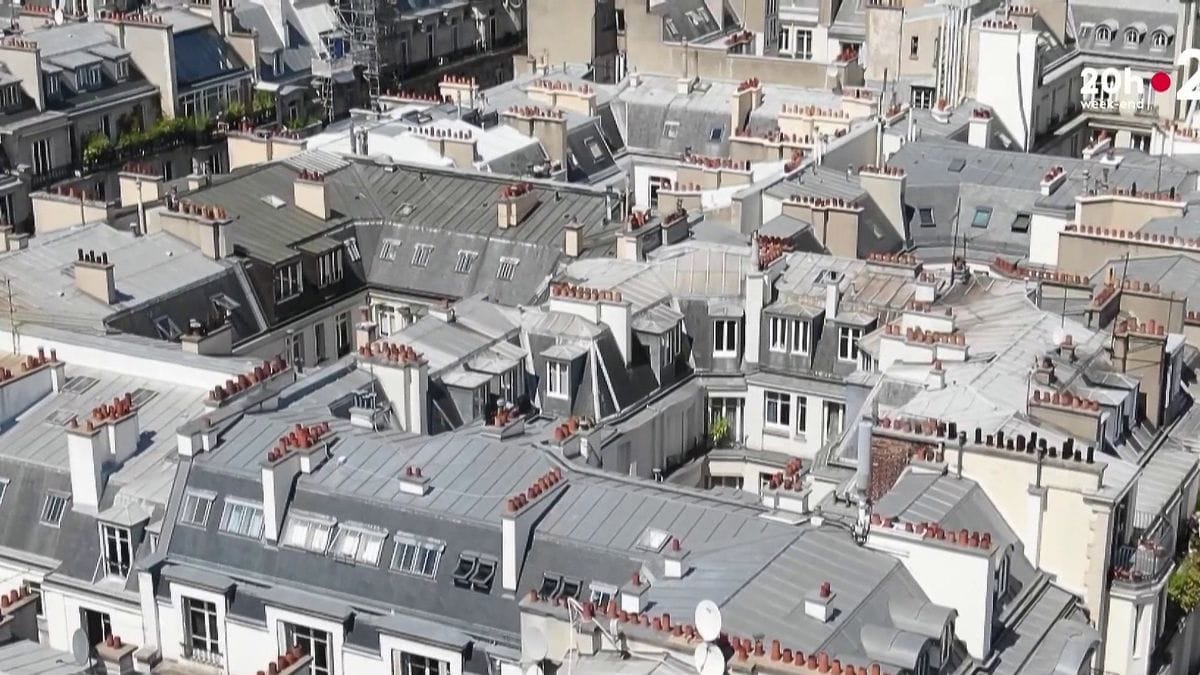 découvrez comment l'impact climatique influence la durabilité et l'efficacité des toitures. explorez les solutions écologiques et les matériaux durables pour protéger votre habitat tout en préservant l'environnement.