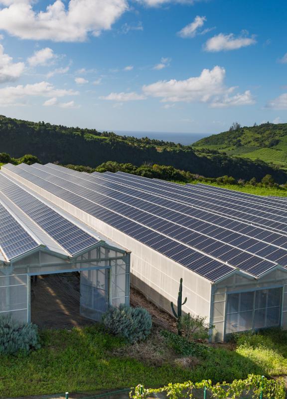 découvrez les dernières avancées en matière d'innovation photovoltaïque, qui transforment la manière dont nous produisons et consommons de l'énergie solaire. explorez des technologies révolutionnaires, des applications durables et leur impact sur l'environnement.