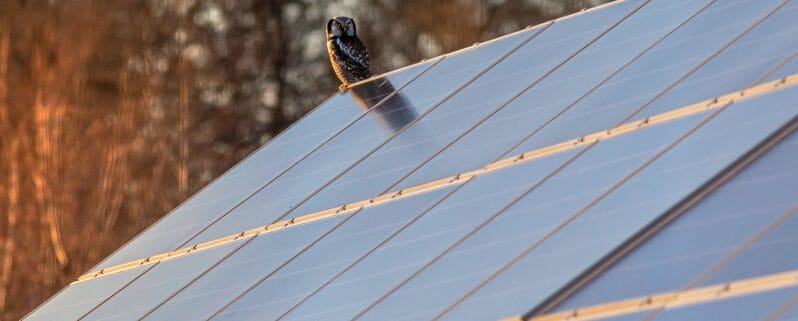 découvrez comment investir dans des panneaux solaires et profitez des avantages écologiques et économiques. optimisez votre consommation d'énergie, réduisez vos factures d'électricité et participez à la transition énergétique tout en valorisant votre patrimoine.