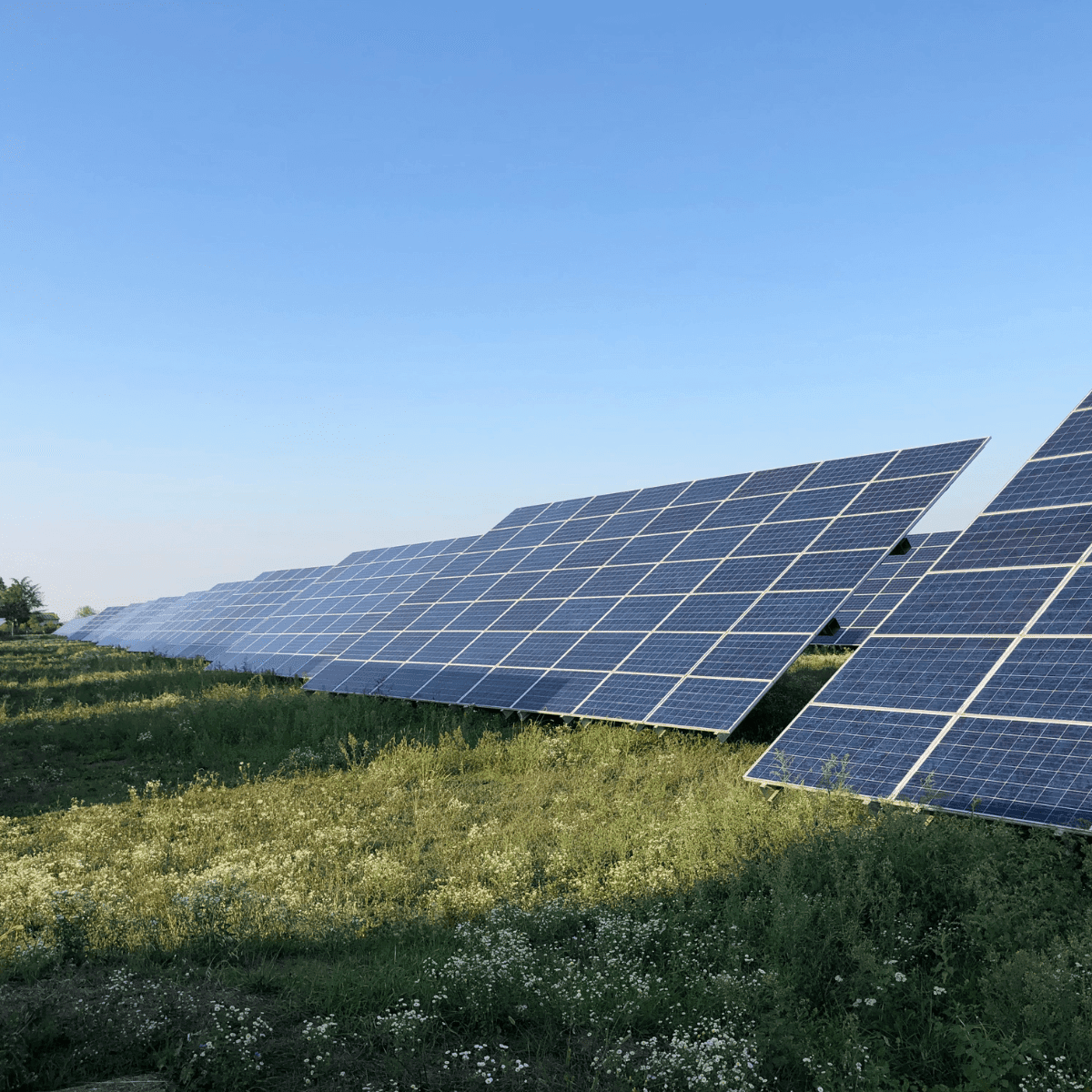 découvrez comment investir dans des panneaux solaires peut non seulement réduire vos factures d'énergie, mais aussi contribuer à un avenir durable. explorez les avantages financiers et environnementaux de l'énergie solaire.