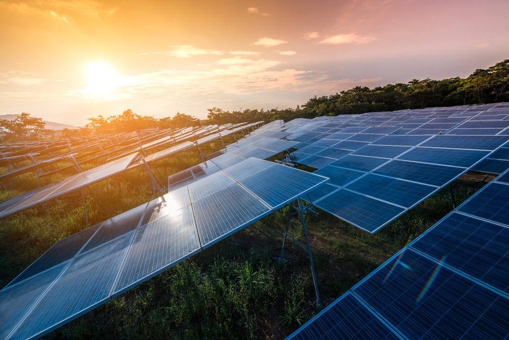 découvrez comment bénéficier de panneaux solaires à 1 euro en 2025. profitez d'opportunités avantageuses pour réduire vos factures d'énergie tout en contribuant à la transition énergétique. ne manquez pas cette chance d'investir dans un avenir durable!