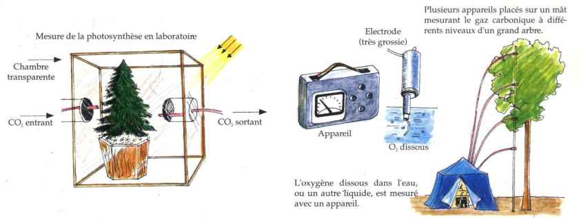 découvrez comment améliorer votre productivité énergétique grâce à des conseils pratiques et des solutions innovantes. optimisez votre consommation d'énergie pour réduire vos coûts et soutenir un développement durable.