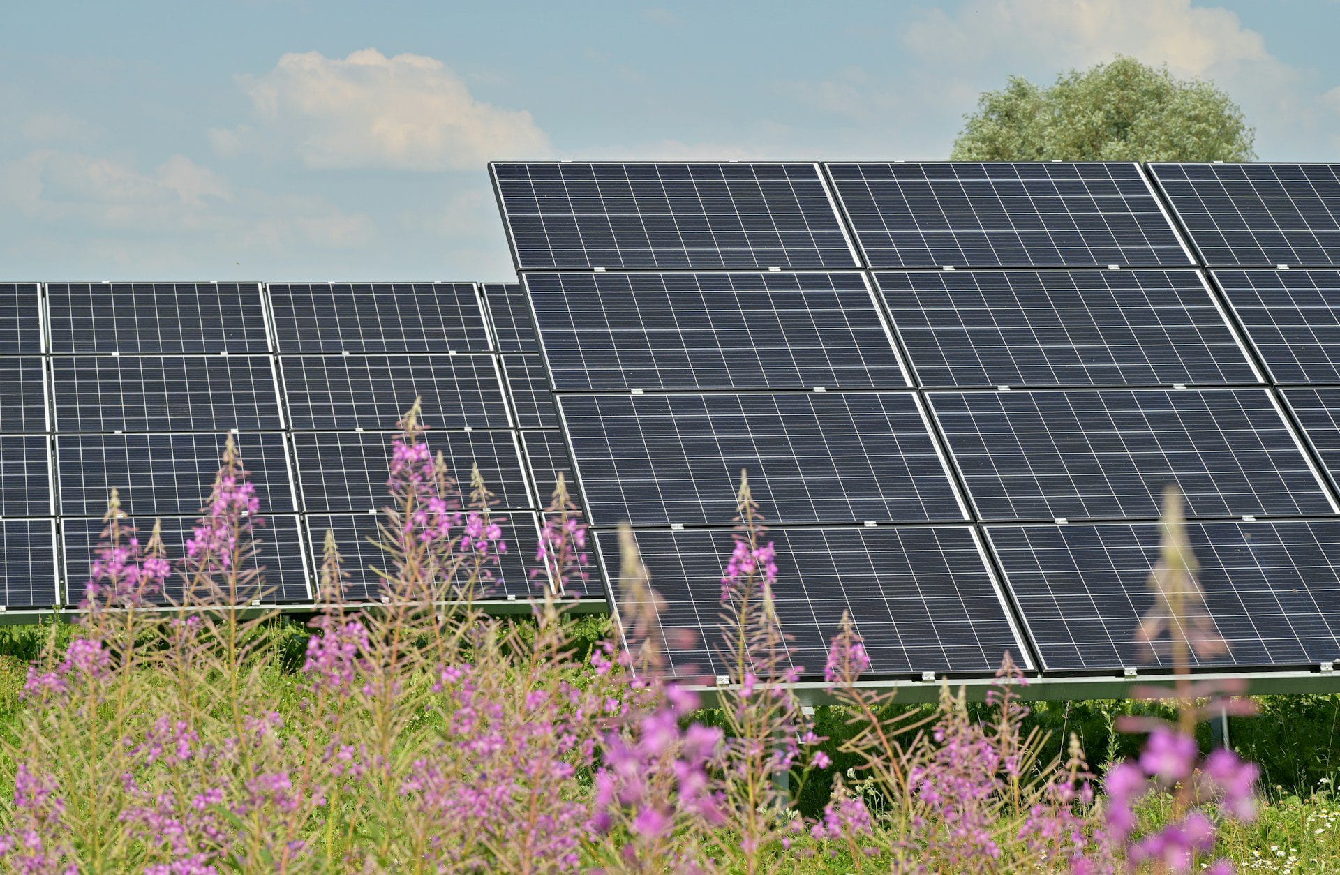 découvrez comment maximiser la rentabilité de vos panneaux solaires grâce à nos conseils d'experts. apprenez à évaluer les économies d'énergie, les subventions disponibles et les meilleures pratiques pour optimiser vos investissements solaires.