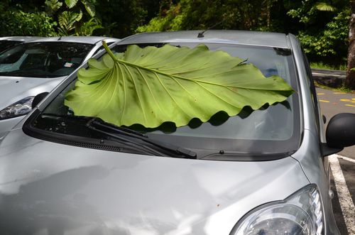 découvrez soleilecolo, votre guide vers un mode de vie écoresponsable. explorez des conseils pratiques, des astuces durables et des inspirations pour un quotidien respectueux de l'environnement. ensemble, cultivons un avenir plus vert !