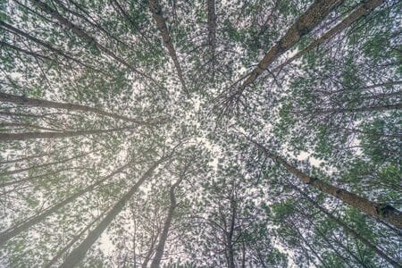 découvrez l'univers de soleilhorizons, où la transformation personnelle et professionnelle prend forme. explorez nos outils et ressources pour vous aider à évoluer vers votre meilleur moi. rejoignez-nous dans cette aventure de croissance et de changement.