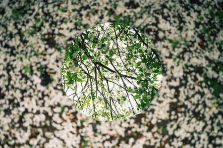 découvrez soleilhorizons, votre partenaire pour une transformation harmonieuse et durable. nous vous aidons à embrasser le changement et à atteindre vos objectifs personnels et professionnels tout en préservant l'équilibre entre bien-être et performance.
