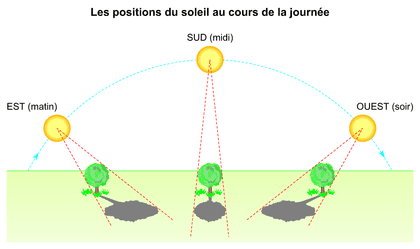 découvrez comment tirer le meilleur parti de soleilonline en seulement 5 étapes simples. apprenez à naviguer sur notre plateforme, à profiter de nos fonctionnalités et à optimiser votre expérience d'apprentissage en ligne. ne manquez pas cette opportunité de simplifier votre projet avec nos conseils pratiques.