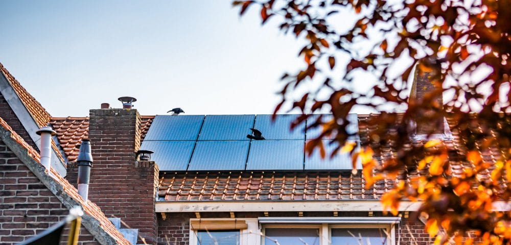découvrez comment une toiture photovoltaïque rentable peut transformer votre maison en source d'énergie durable tout en réduisant vos factures d'électricité. optez pour une solution écologique et économique qui valorise votre bien immobilier !