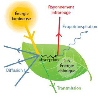 découvrez comment optimiser la transformation de l'énergie solaire pour maximiser votre efficacité énergétique et réduire vos coûts. explorez des solutions innovantes et durables pour profiter pleinement de l'énergie renouvelable.