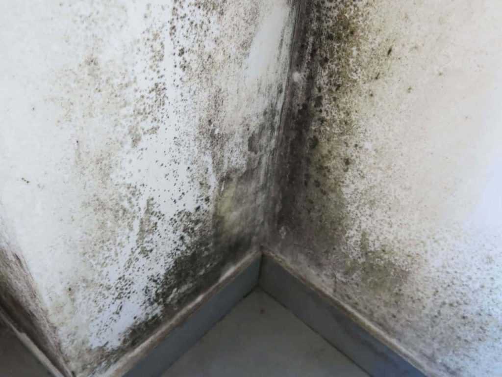 obtenez votre devis personnalisé pour des solutions d'élimination de l'humidité. nos experts évaluent vos besoins et vous proposent des options adaptées pour assainir votre habitat. demandez dès maintenant votre devis gratuit !