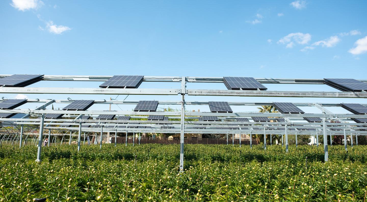 découvrez l'avenir solaire : une approche innovante et durable pour l'énergie de demain. explorez les technologies, les tendances et les solutions qui transforment notre rapport à l'énergie. engageons-nous ensemble vers un futur lumineux et respectueux de l'environnement.
