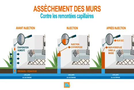 obtenez votre devis gratuit pour des solutions contre l'humidité. profitez de conseils experts et d'évaluations personnalisées pour assainir votre espace. contactez-nous dès maintenant !