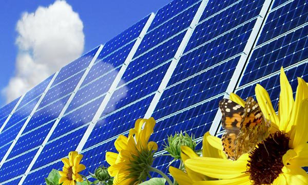 découvrez nos solutions d'assurances photovoltaïques, conçues pour protéger votre investissement solaire contre les aléas et garantir la rentabilité de votre installation. profitez d'une couverture sur mesure et sécurisez vos revenus grâce à nos offres adaptées aux particuliers et aux professionnels.