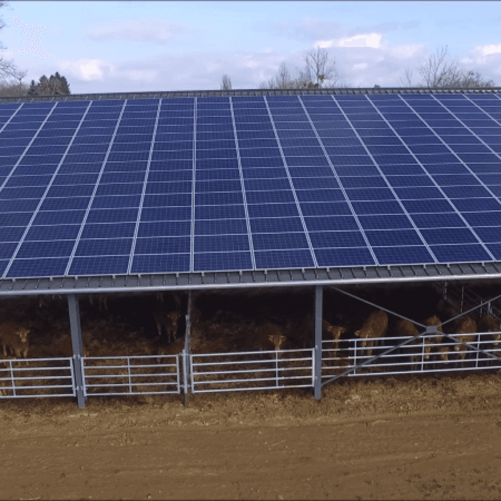 découvrez comment les bâtiments photovoltaïques agricoles transforment l'agriculture en alliant production d'énergie renouvelable et valorisation des espaces agricoles. optimisez votre exploitation avec des solutions écologiques et rentables.