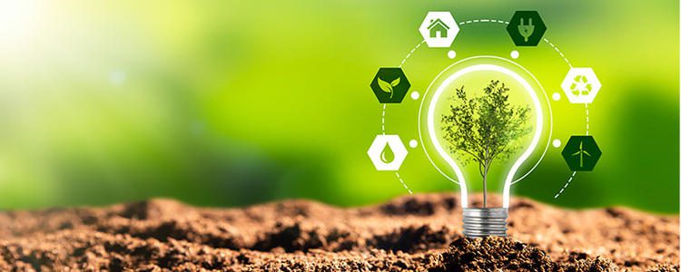 découvrez les certifications écologiques qui garantissent des produits respectueux de l'environnement. informez-vous sur les normes et labels qui aident les consommateurs à faire des choix durables et à soutenir des pratiques responsables.