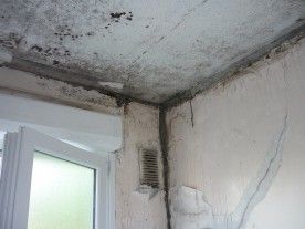 obtenez votre devis gratuit pour les solutions murprotec contre l'humidité. protégez votre maison des dommages causés par l'humidité grâce à des experts à votre service. contactez-nous dès maintenant !