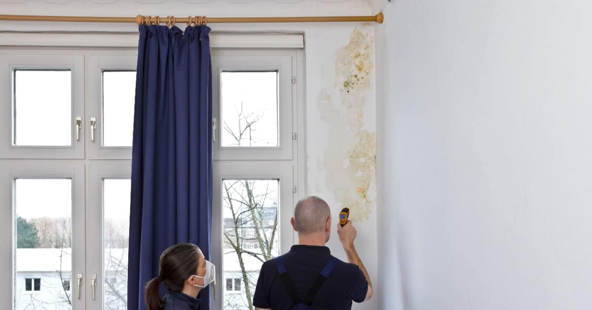 obtenez un devis gratuit pour le traitement de l'humidité à bruxelles. profitez de conseils d'experts et de solutions adaptées à votre situation pour protéger votre habitat des problèmes d'humidité.