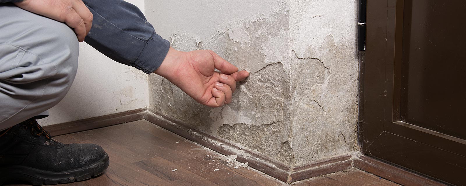 obtenez votre devis personnalisé pour la gestion de l'humidité dans votre logement. des solutions adaptées à vos besoins pour un intérieur sain et confortable.