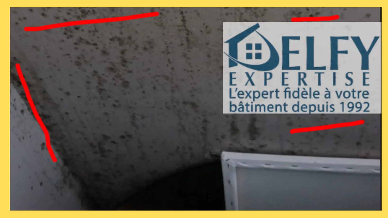 obtenez votre devis gratuit pour la gestion de l'humidité dans votre logement. évaluez les solutions adaptées à vos besoins et retrouvez un environnement sain et confortable.