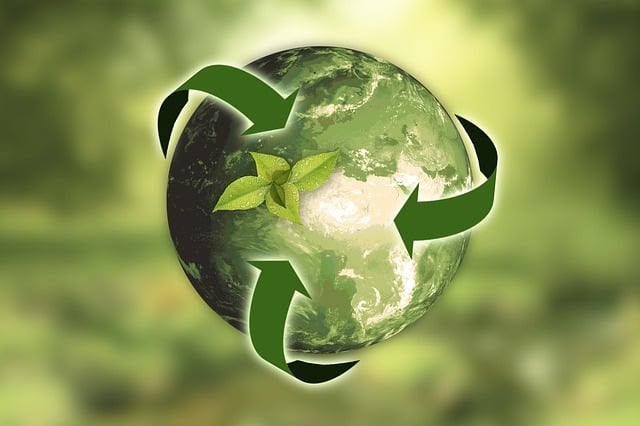 découvrez l'économie circulaire : un modèle durable qui vise à réduire les déchets, maximiser l'utilisation des ressources et favoriser le recyclage. apprenez comment cette approche innovante transforme notre rapport à la consommation et contribue à un avenir plus respectueux de l'environnement.